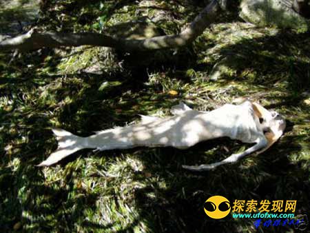 中国五千年悠久历史上的七宗惊天谜案