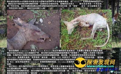 恐怖"吸血"的致命光束:是外星人正在做实验?