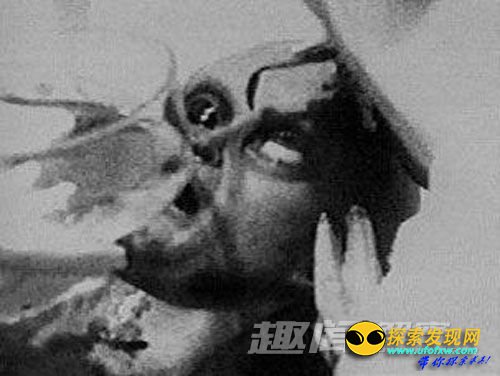 外星人尸体