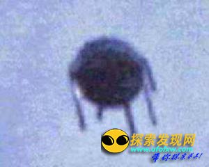 超过100万的中国人亲眼目睹UFO