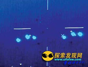 震惊世界:大规模虐杀家畜事件大揭秘