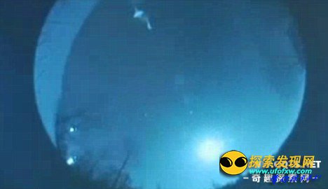 震惊世界:大规模虐杀家畜事件大揭秘