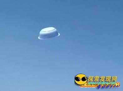 震惊世界:大规模虐杀家畜事件大揭秘