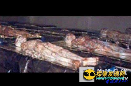 在一个核基地附近的近距离遭遇外星人事件
