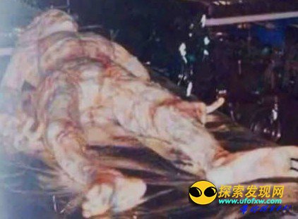 在一个核基地附近的近距离遭遇外星人事件