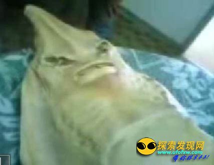 ÃÀ¹ú¿Õ¾üÊÕ´æ×¹ÂäUFOºÍÍâÐÇÈËʬÌ寨¹â