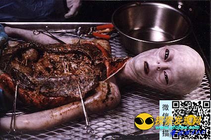 美国空军收存坠落UFO和外星人尸体曝光