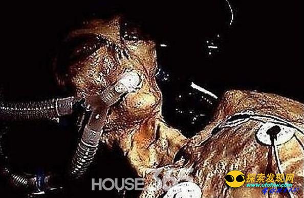 证据确凿:欧洲上空捕获多名外星人