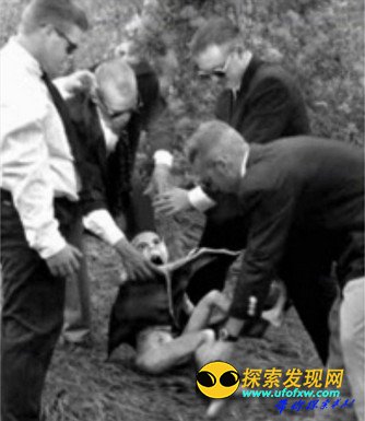 证据确凿:欧洲上空捕获多名外星人