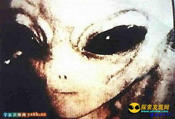 证据确凿:欧洲上空捕获多名外星人
