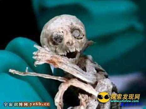 证据确凿:欧洲上空捕获多名外星人
