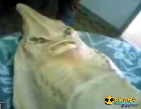 证据确凿:解密全球四大UFO事件
