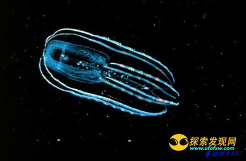 UFO可使人类患病:飞碟携带大量放射性物质