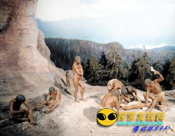 带你进入微观动物世界欣赏各种萌物