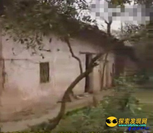重庆巴南红衣男孩独家大揭秘