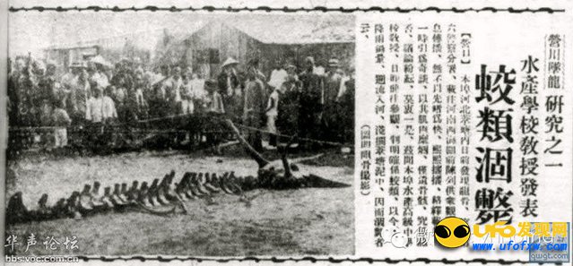 真龙现身事件:真龙被首次发现图片