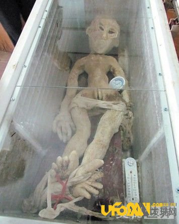 山东男子电死外星人事件是真是假?