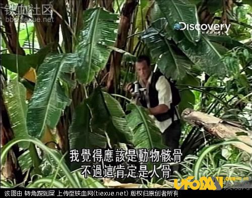 荒野求生之贝尔惨死,荒野求生主持人惨死真相