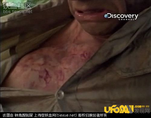 荒野求生之贝尔惨死,荒野求生主持人惨死真相