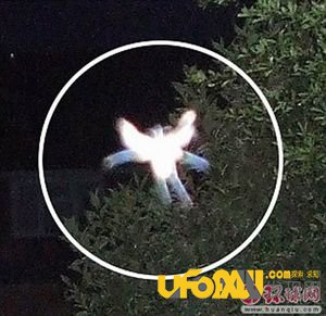 揭秘全球惊天谜团:3000年女木乃伊仍有呼吸