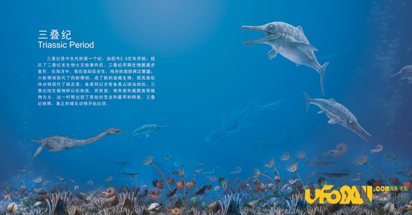 生命起源:所有物种都是已经设计好的程序?