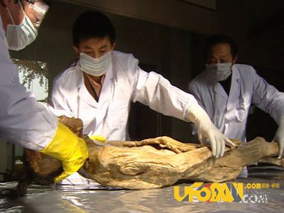 震惊国民:明代古墓女尸光鲜如活人之谜