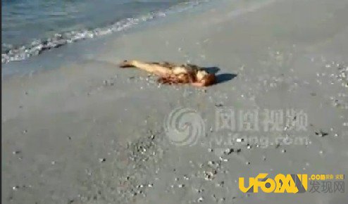 震惊国人,独家揭秘黑鳞鲛人活着的样子