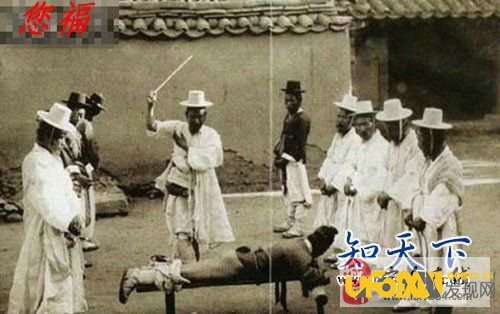 韩国人为什么叫棒子?保证你不知道