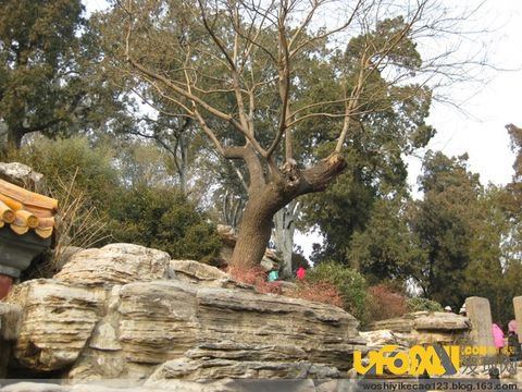 谁把崇祯逼上了煤山;崇祯吊死煤山真相