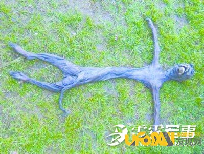 外星人尸体惊现南非 当地引恐慌