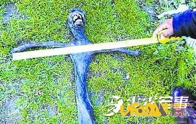 外星人尸体惊现南非 当地引恐慌