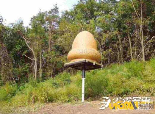 揭秘全球十大震惊世界的UFO事件