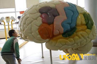 人类大脑开发到一定程度可以重组?
