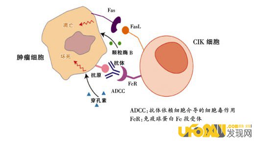 盘点医学界的科学家们如何上演“翻滚吧肿瘤君”