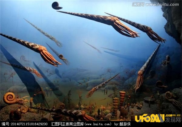 走进地质,畅游古生物世界:了解远古生物大灭绝