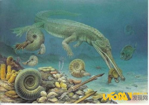 走进地质,畅游古生物世界:了解远古生物大灭绝