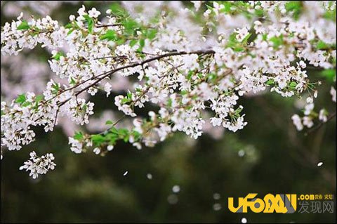 中国传统节气立夏的习俗,立夏为什么要吃蛋