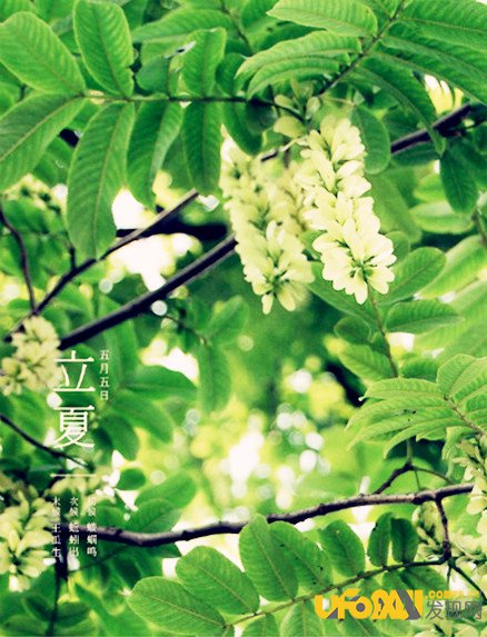 中国传统节气立夏的习俗,立夏为什么要吃蛋