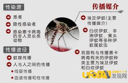 寨卡病毒是什么?寨卡病毒致病机理新发现