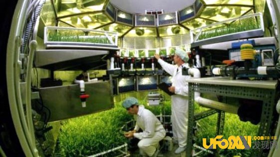 美国宇航局火星移民计划,在火星上种植绿色植物