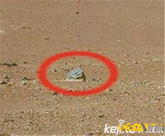 科学家认为在几万年前火星遭到了外部核打击