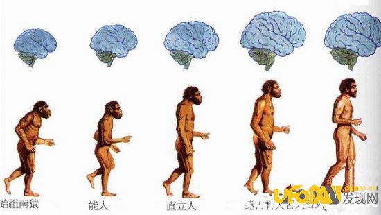 科学家最新研究发现,人类的起源竟是这样