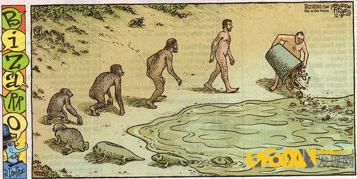 科学家发现“海归”古猿,险改写人类进化史