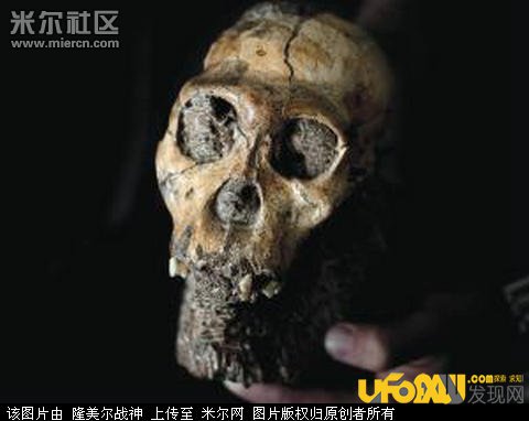 科学家发现“海归”古猿,险改写人类进化史