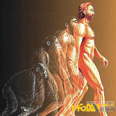 科学家发现“海归”古猿,险改写人类进化史