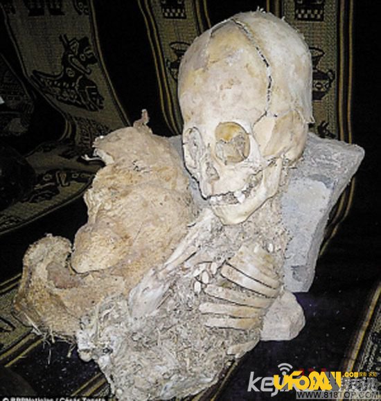考古学家最新挖掘一外星人头骨
