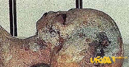 美国外星人事件真相:充满疑问的琳达·考泰尔事件