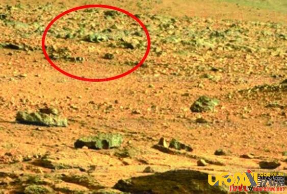火星或存在生命:在火星咸水径流中寻找生命