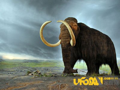 科学家称远古生物大灭绝:将无法复活他们