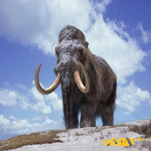 科学家称远古生物大灭绝:将无法复活他们